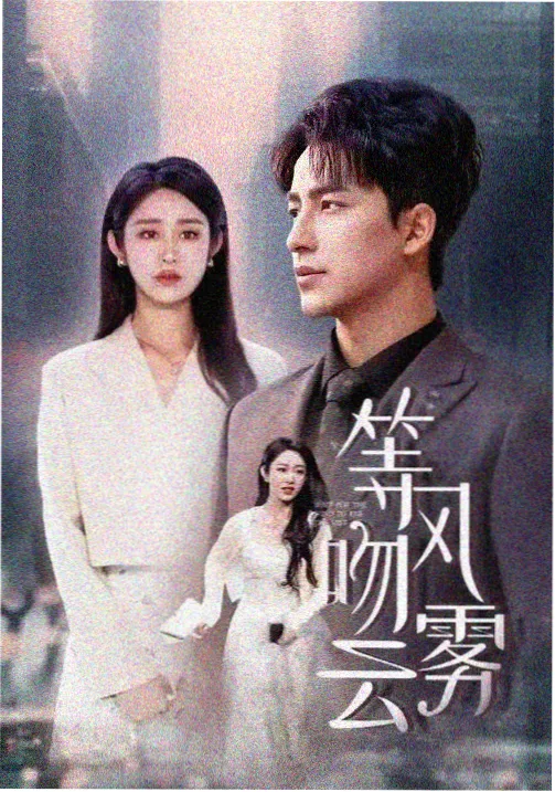 我的大叔 在线观看免费高清韩剧